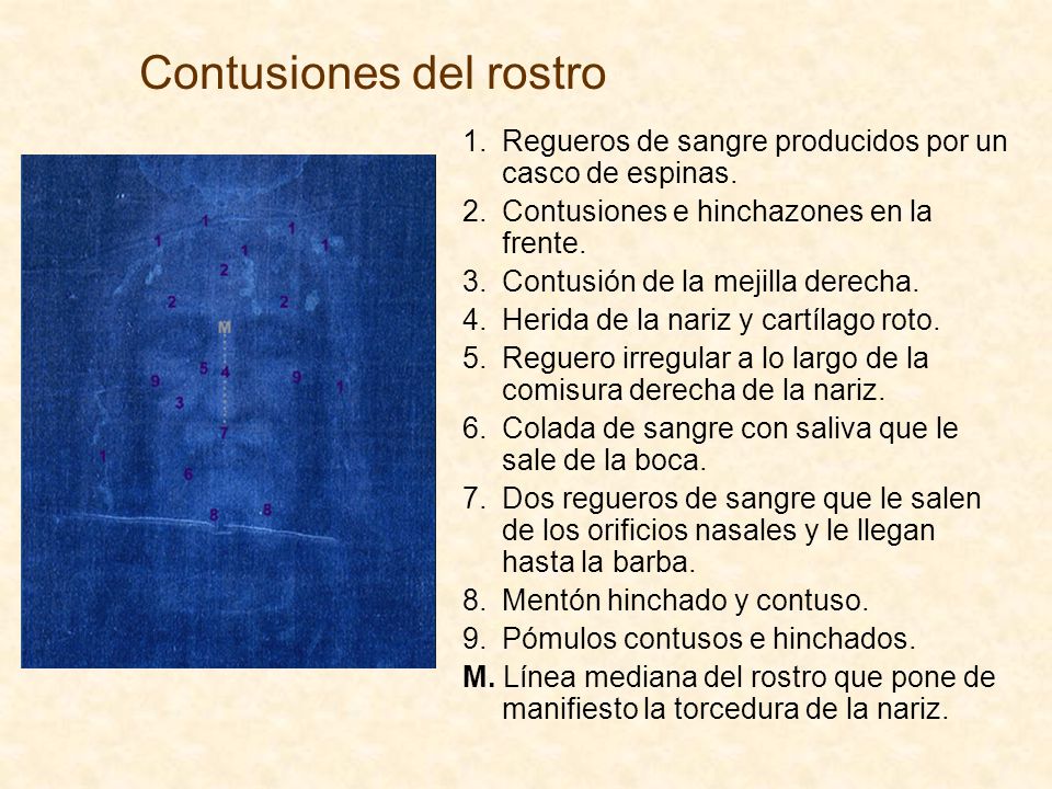 Bio el concentrado contra las arrugas alrededor de los ojos rose oil